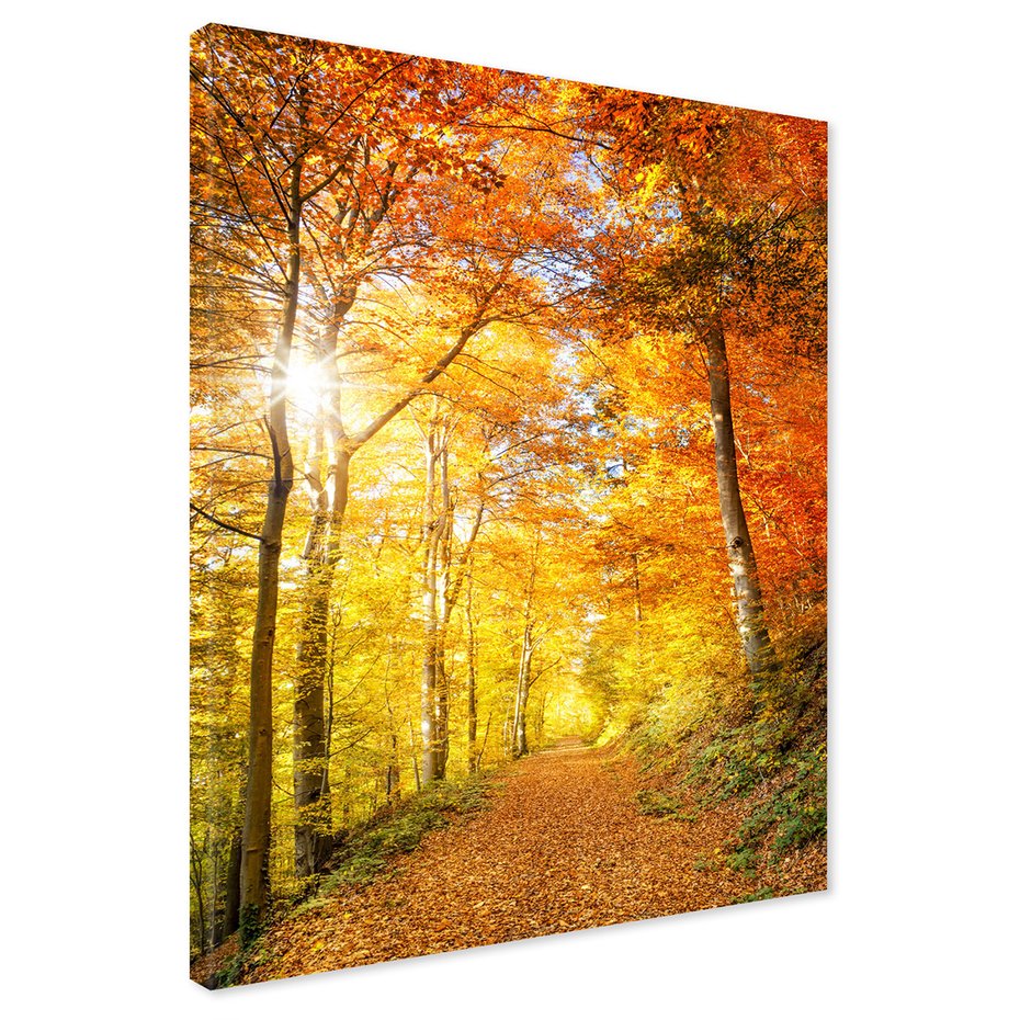 Obraz na płótnie - jesień, las, liście