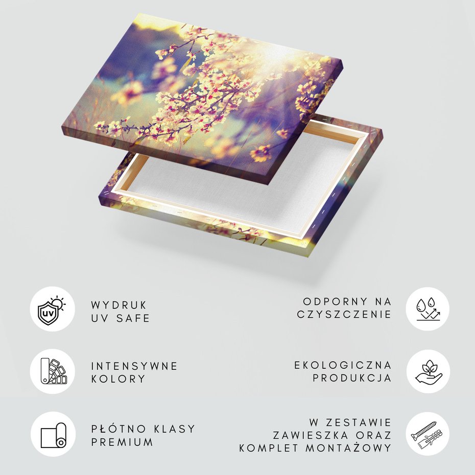 Obraz na płótnie - kwiaty, wiosna, słońce