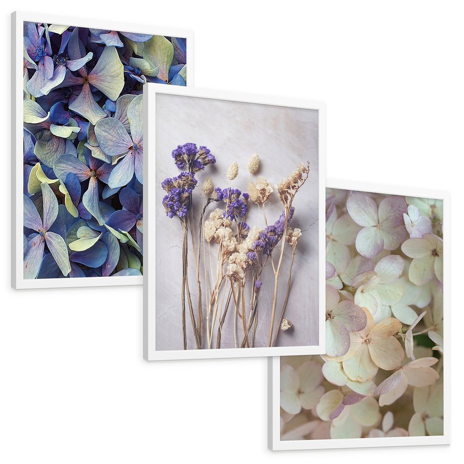 Zestaw obrazy w ramie, plakaty - kwiaty, hortensje, suszone kwiaty - rama biała