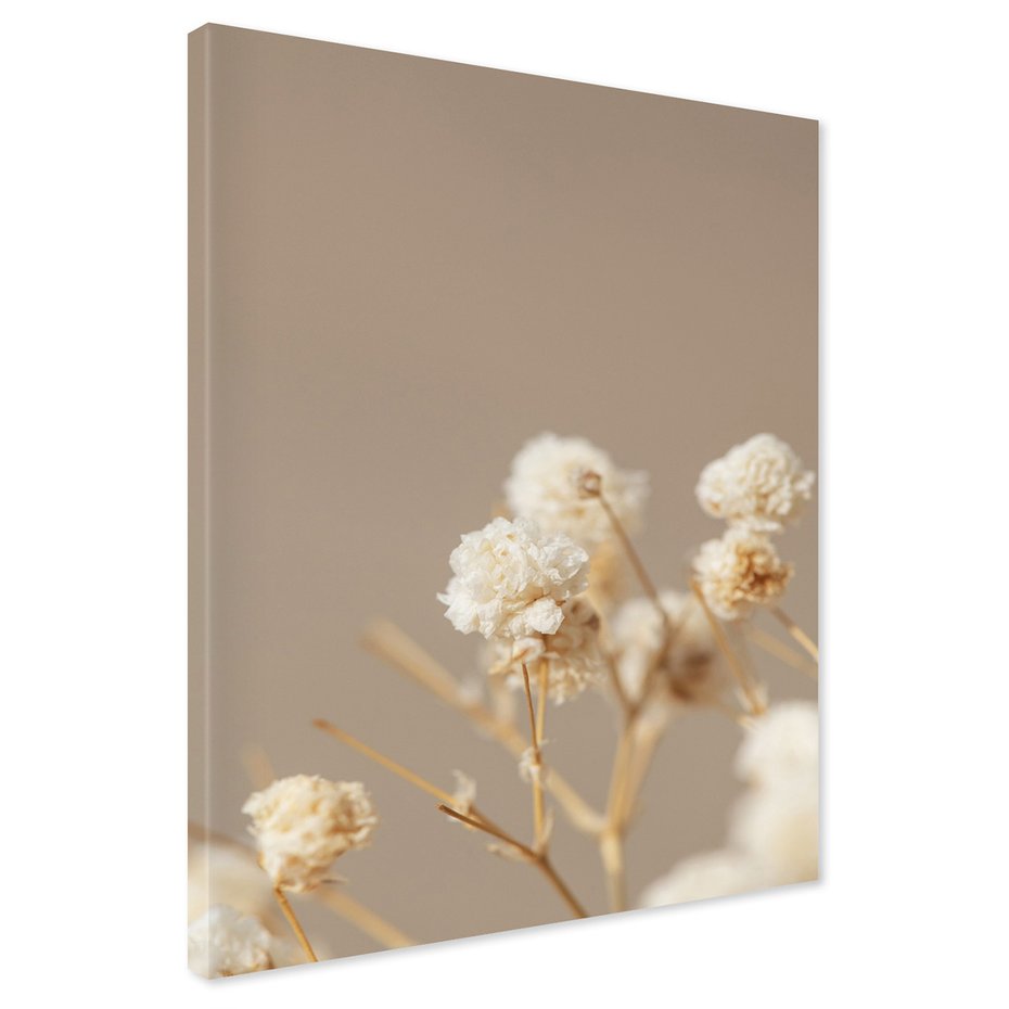 Obraz na płótnie - kwiaty, suszone, delikatne