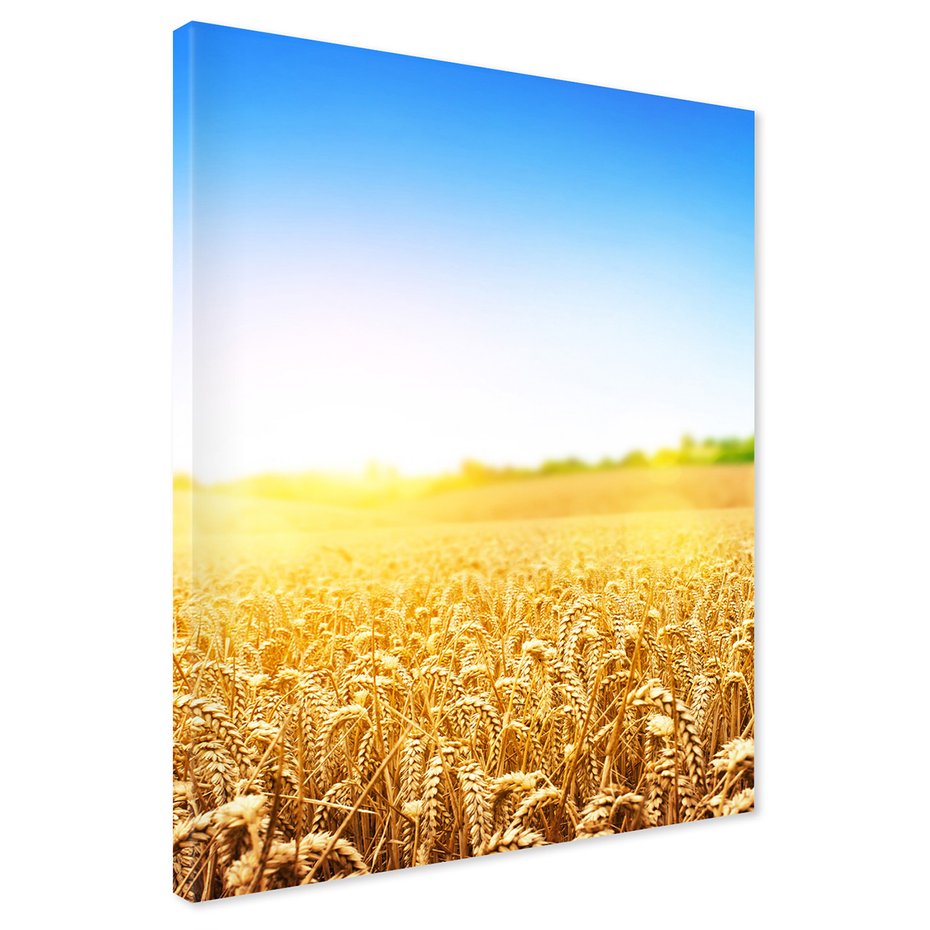 Obraz na płótnie - pole, zboże, lato