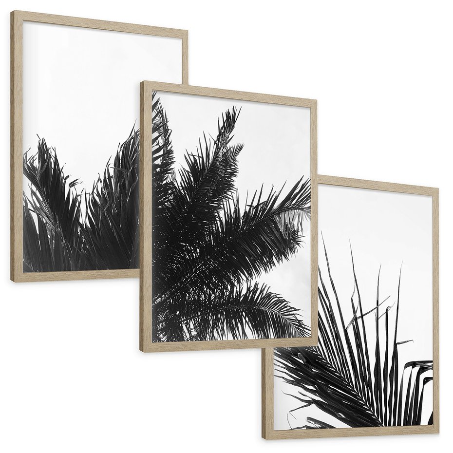 Zestaw obrazy w ramie, plakaty - palmy, liście, tropikalne - rama drewno