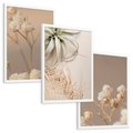 Zestaw obrazy w ramie, plakaty - kwiaty, roślina, suszone - rama biała