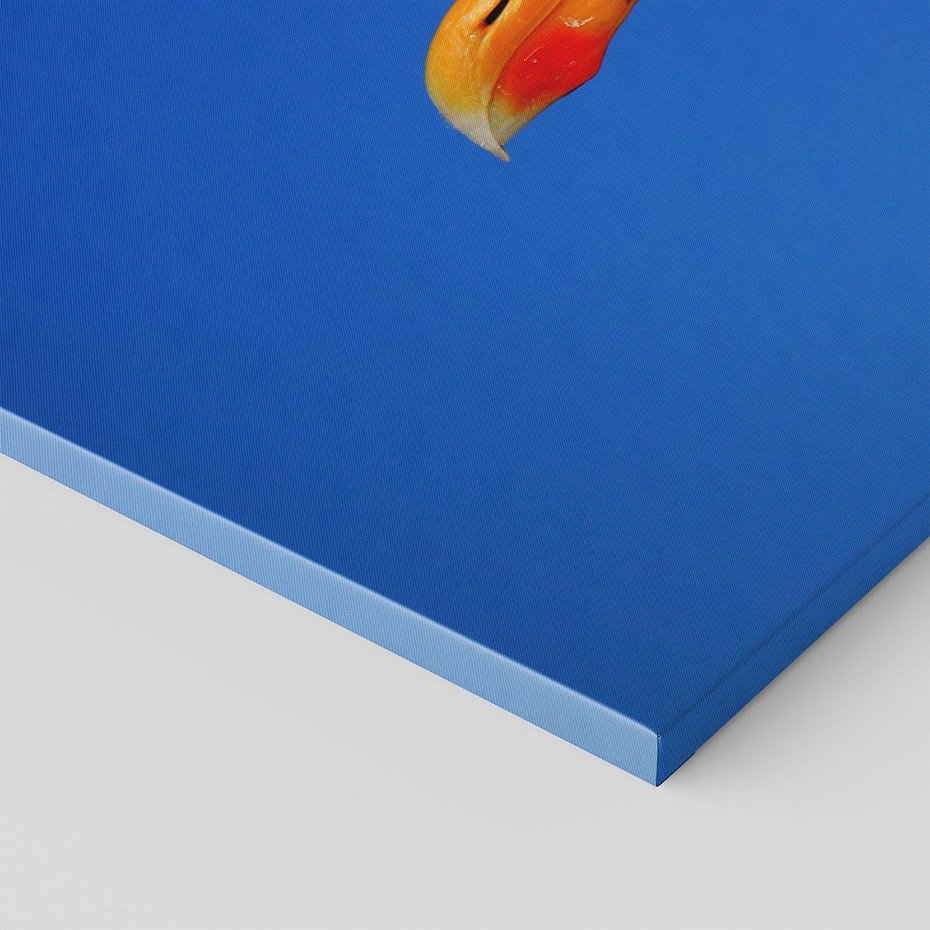 Obraz na płótnie - mewa, ptak, niebo