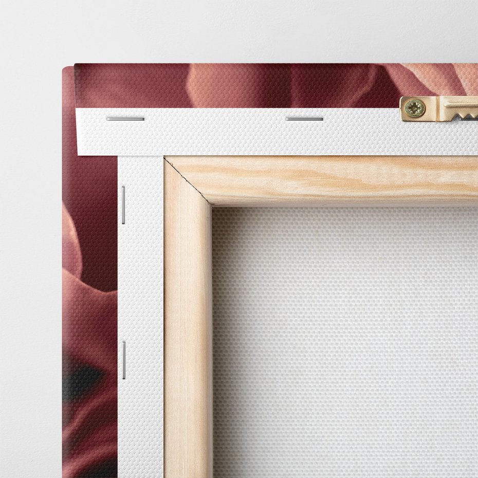 Obraz na płótnie - róża, kwiat, płatki