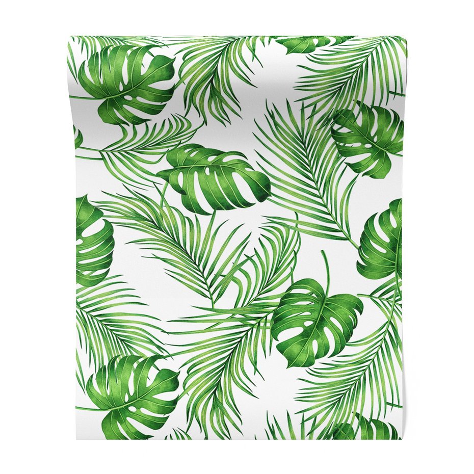 Tapeta - liście, monstera, palmy