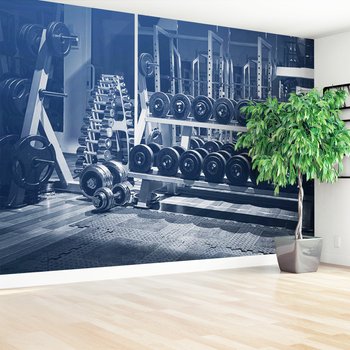Fototapeta - siłownia, ciężary, trening
