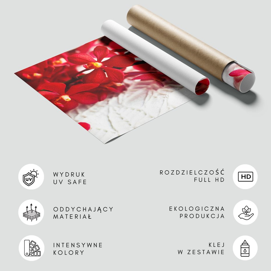 Fototapeta - kwiaty, czerwone, orchidee