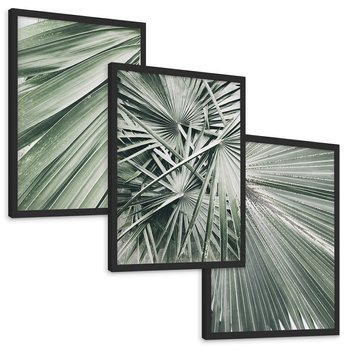 Zestaw obrazy w ramie, plakaty - liście palmowe, rośliny, natura - rama czarna