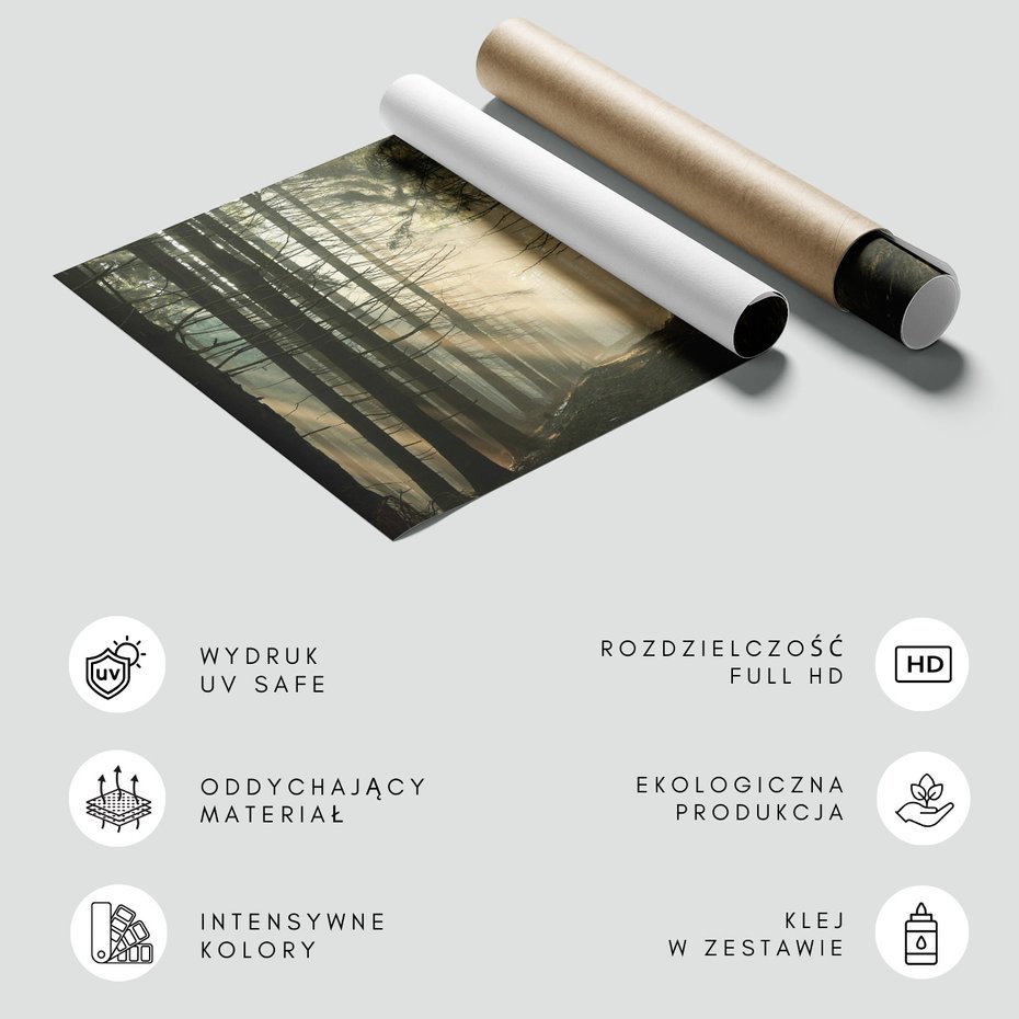 Fototapeta - las, drzewa, mgła