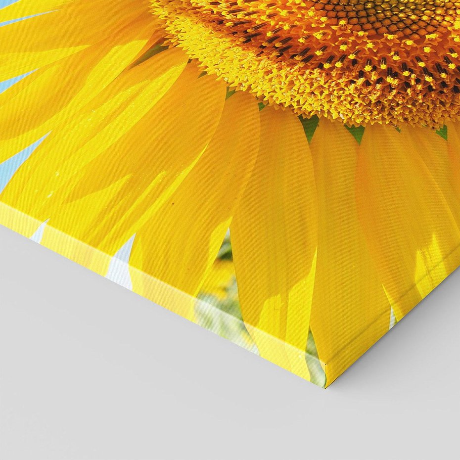 Obraz na płótnie - słonecznik, lato, kwiat