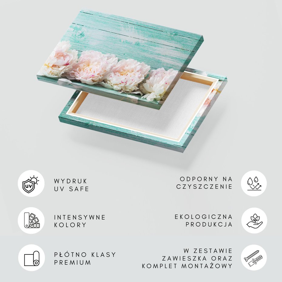 Obraz na płótnie - kwiaty, piwonie, pastelowe