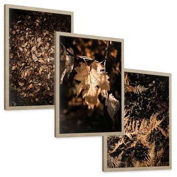 Zestaw obrazy w ramie, plakaty - liście, jesień, brązowy - rama drewno