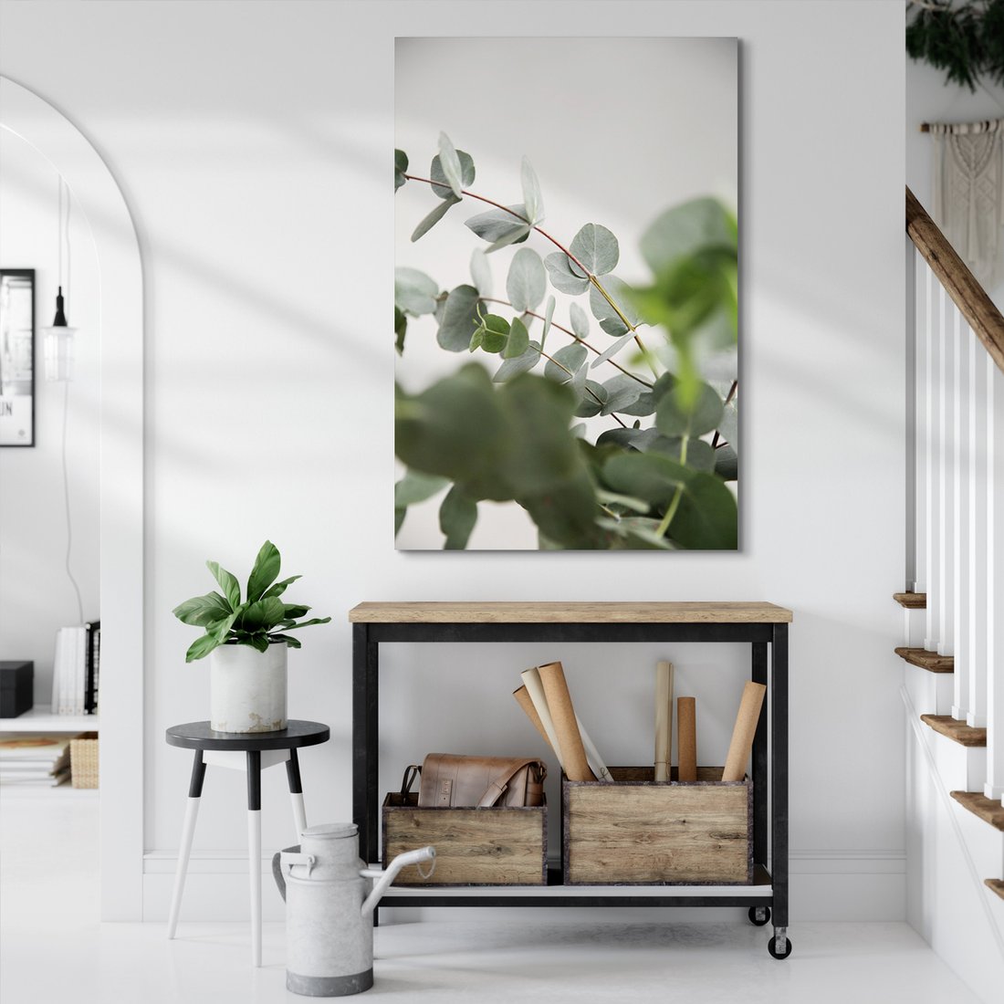 Obraz na płótnie - eukaliptus, liście, natura