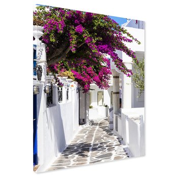 Obraz na płótnie - uliczka, kwiaty, biały
