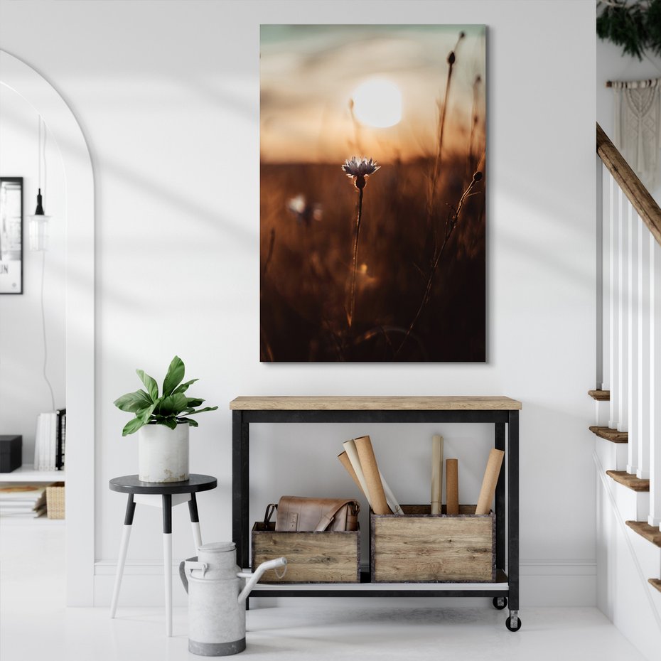 Obraz na płótnie - kwiat, zachód słońca, natura