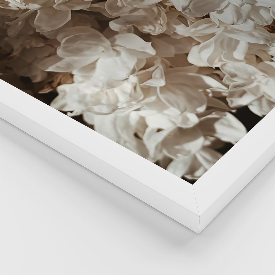 Zestaw obrazy w ramie, plakaty - kwiaty, róże, bukiet - rama biała