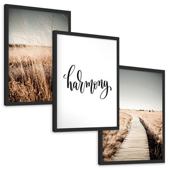 Zestaw obrazy w ramie, plakaty - przyroda, polne, krajobraz - rama czarna