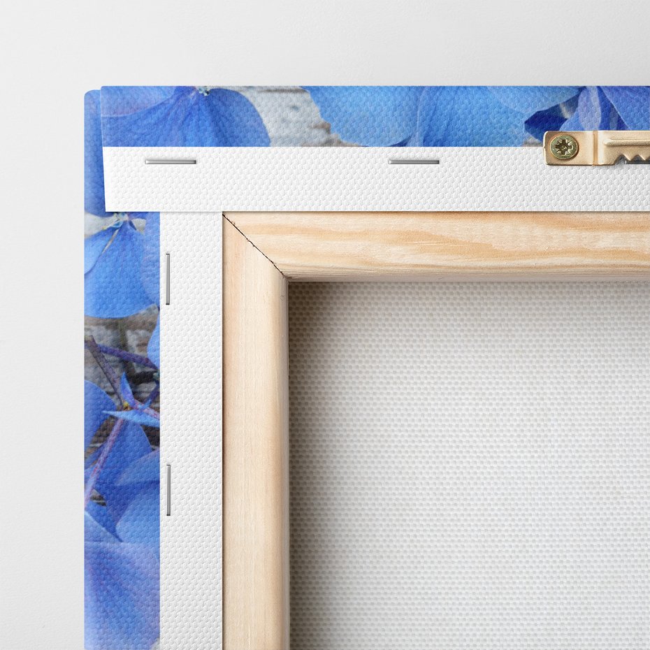 Obraz na płótnie - hortensje, kwiaty, serce