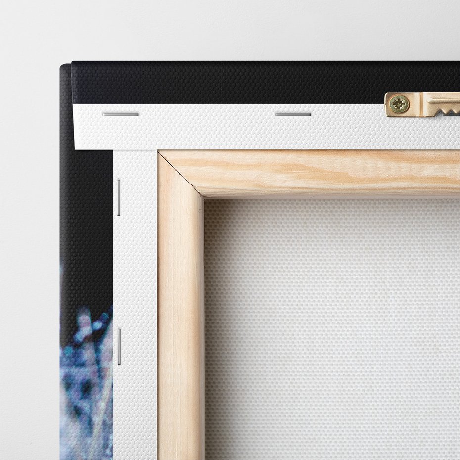 Obraz na płótnie - dmuchawiec, nasiona, woda