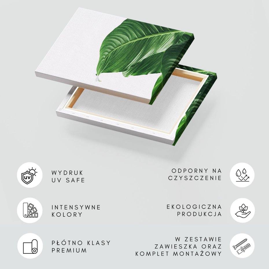 Obraz na płótnie - liść, zieleń, natura