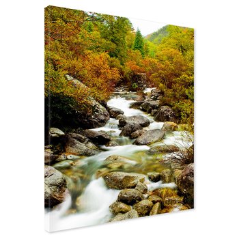 Obraz na płótnie - rzeka, las, kamienie