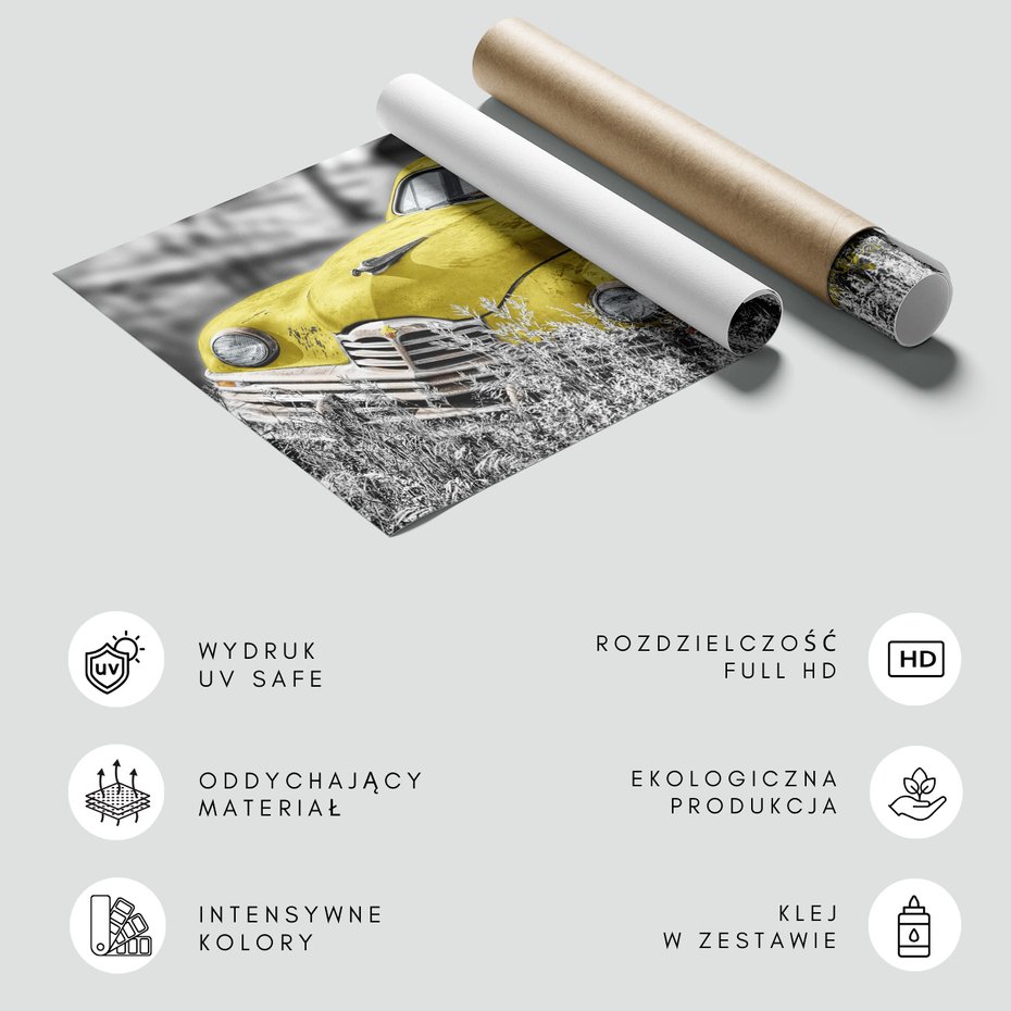 Fototapeta - samochód, klasyk, trawa