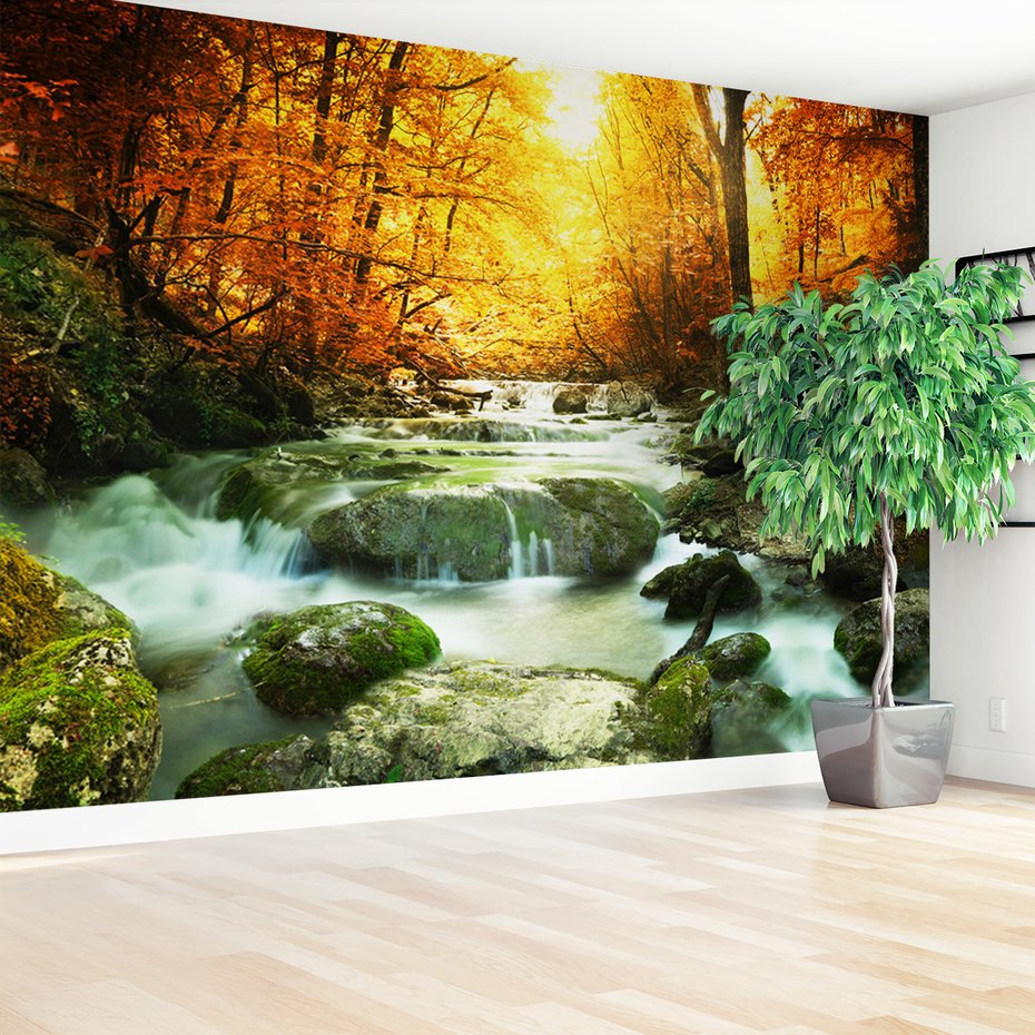 Fototapeta - jesień, las, woda