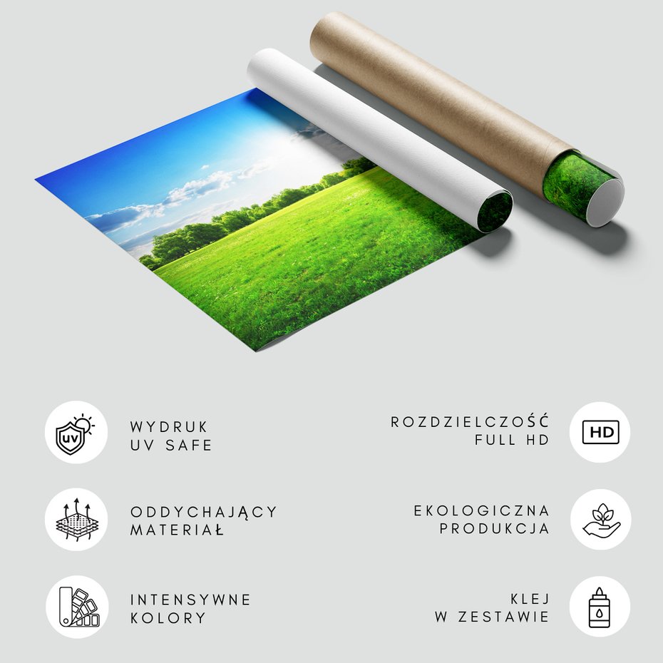 Fototapeta - krajobraz, łąka, drzewa