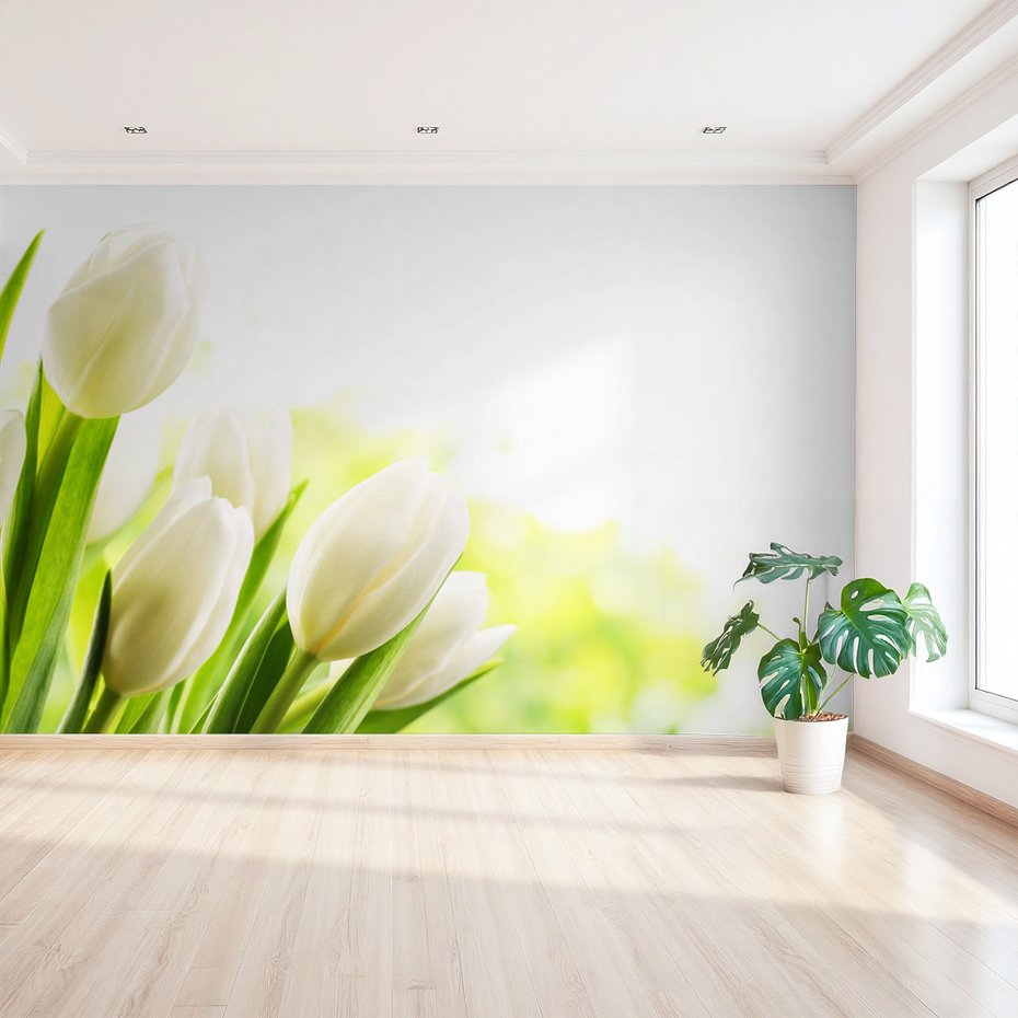 Fototapeta - tulipany, białe, kwiaty