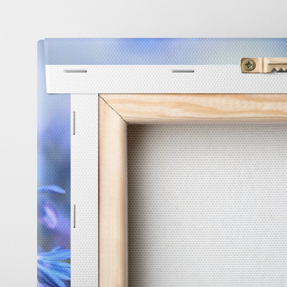 Obraz na płótnie - kwiaty, niebieskie, wiosna