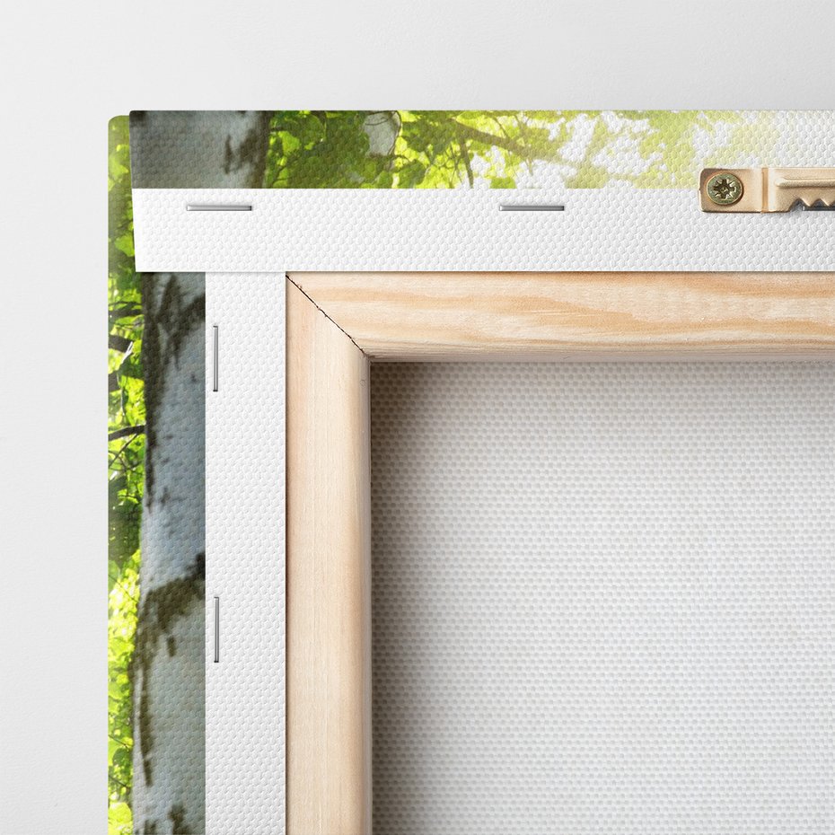 Obraz na płótnie - las, brzozy, natura