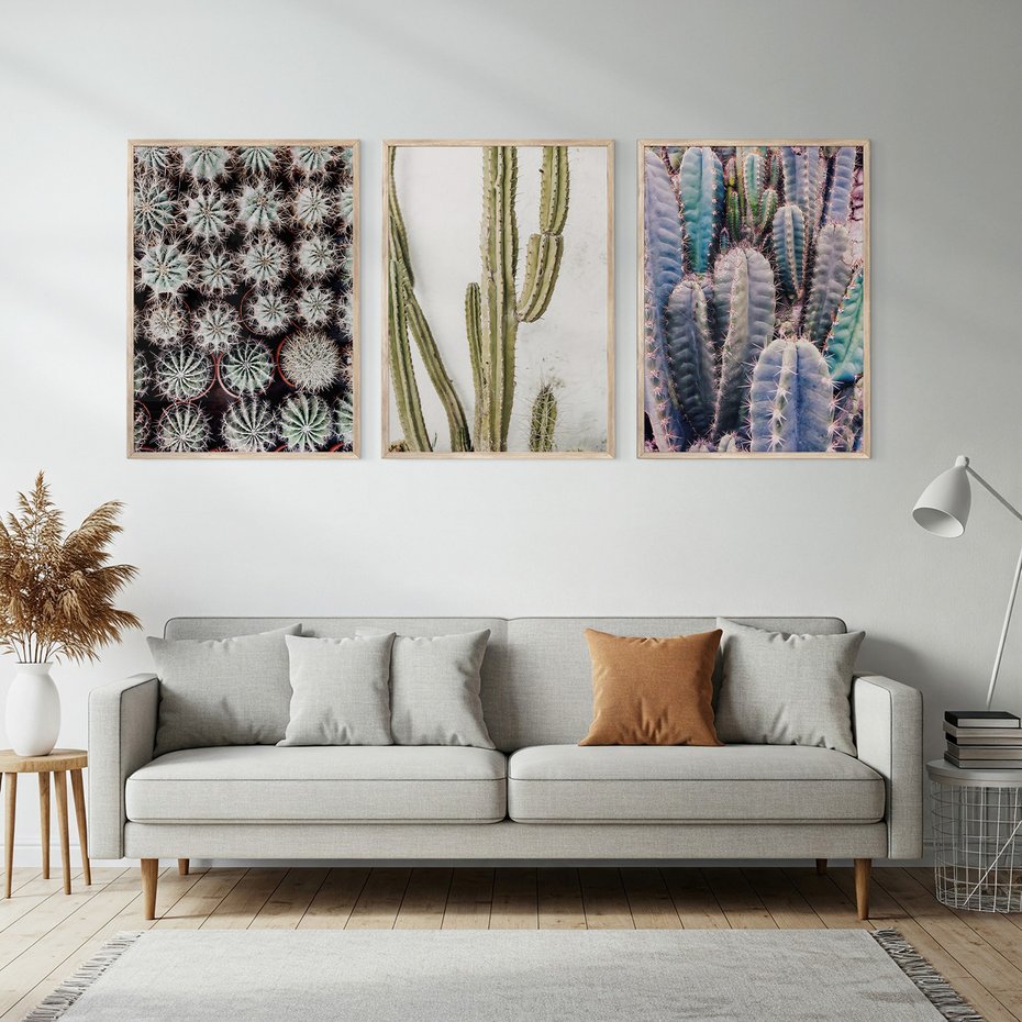 Zestaw obrazy w ramie, plakaty - kaktusy, rośliny, kolce - rama drewno