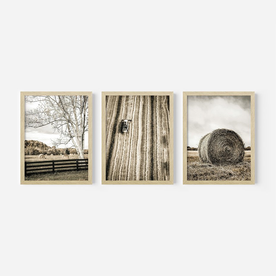 Zestaw obrazy w ramie, plakaty - wieś, pole, siano, - rama drewno