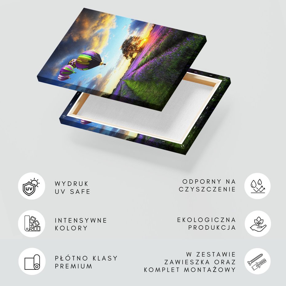 Obraz na płótnie - balony, lawenda, zachód słońca