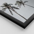 Zestaw obrazy w ramie, plakaty - palmy, morze, relax - rama czarna