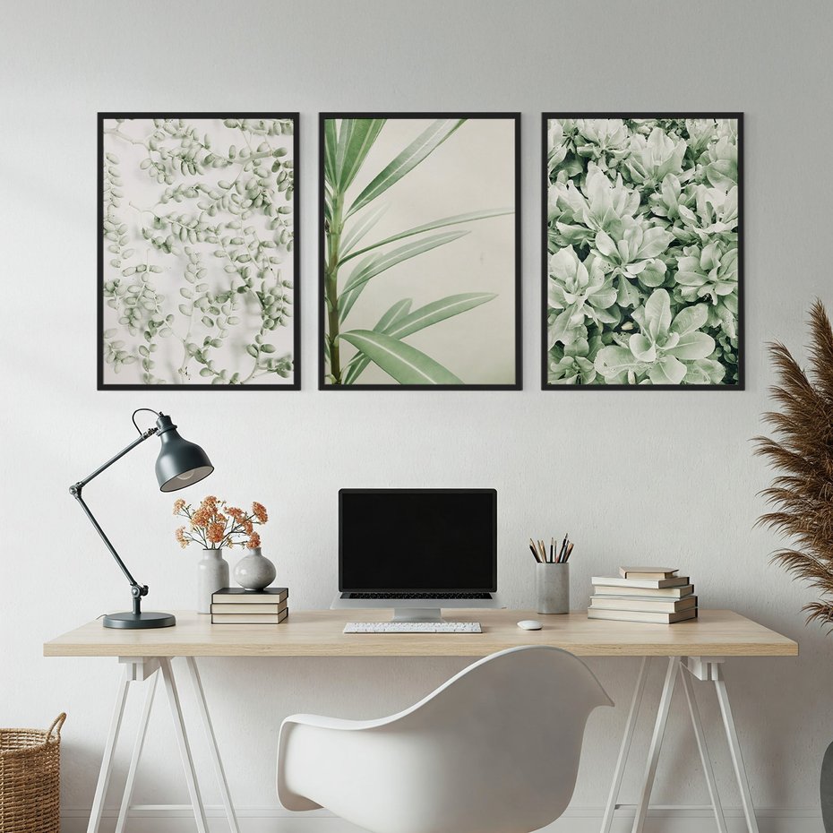 Zestaw obrazy w ramie, plakaty - liście, roślina, gałązka - rama czarna