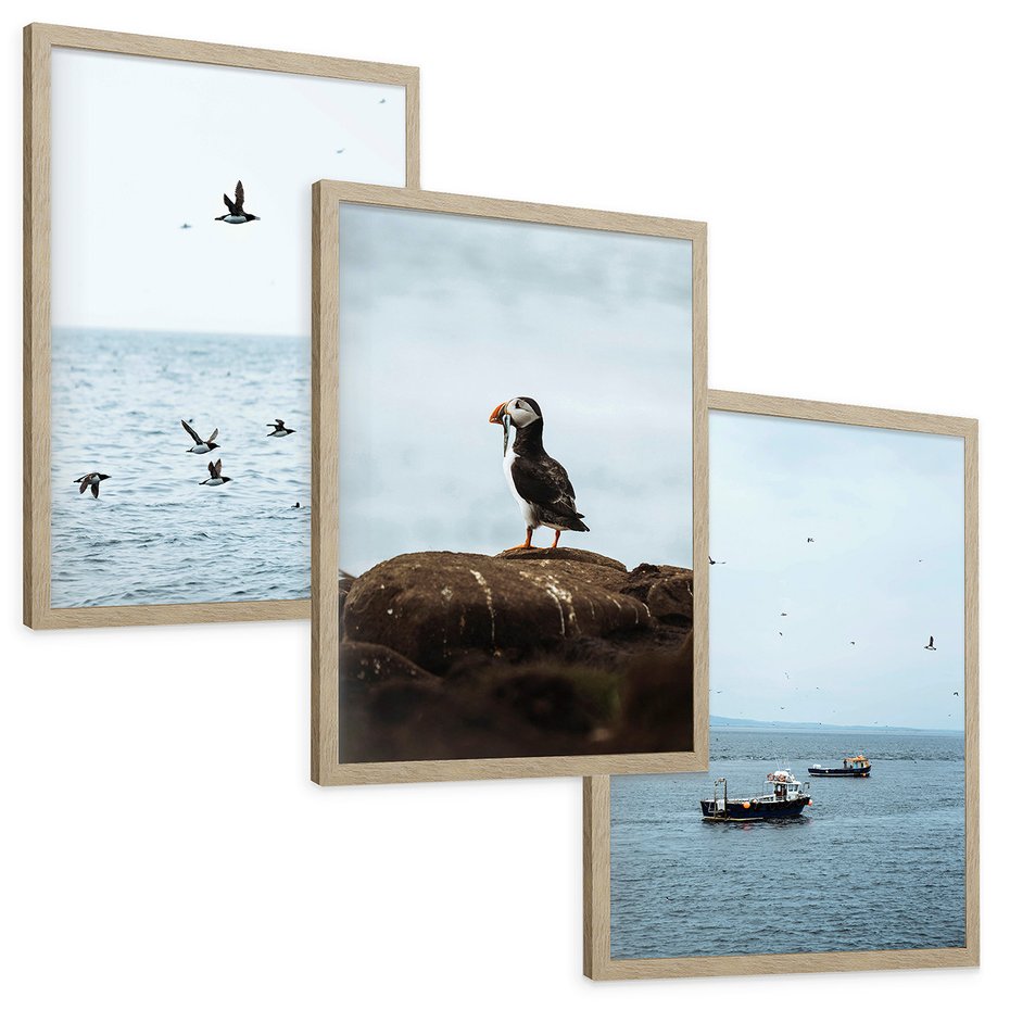 Zestaw obrazy w ramie, plakaty - ptaki, morze, łodzie - rama drewno
