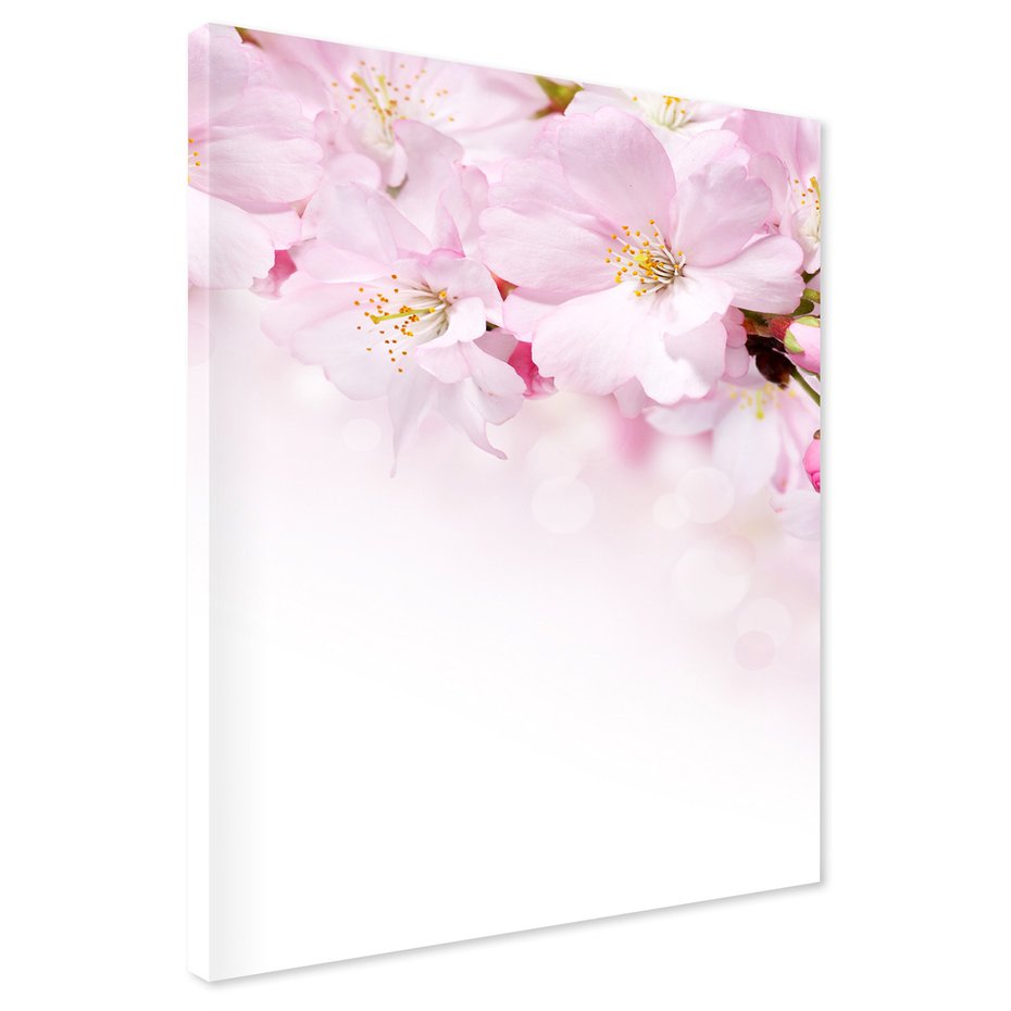 Obraz na płótnie - kwiaty, różowe, delikatne