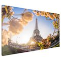 Obraz na płótnie - Wieża Eiffla, Paryż, kwiaty
