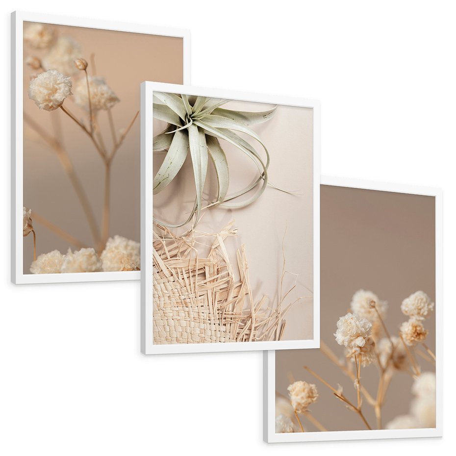Zestaw obrazy w ramie, plakaty - kwiaty, roślina, suszone - rama biała