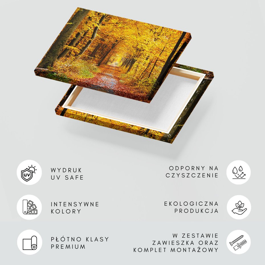 Obraz na płótnie - las, jesień, droga