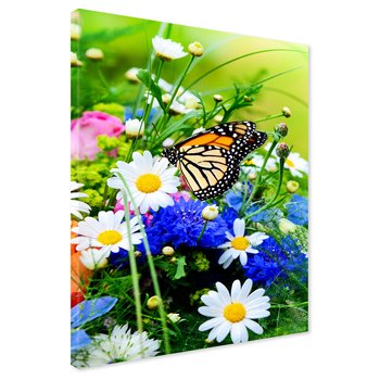 Obraz na płótnie - motyl, kwiaty, natura