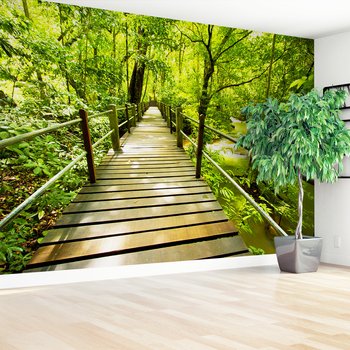 Fototapeta - las, most, natura