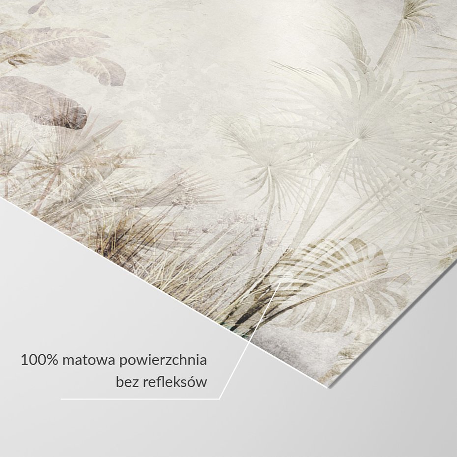 Fototapeta - beton, palmy, liście