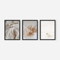 Zestaw obrazy w ramie, plakaty - beżowy, kawa, trawa - rama czarna