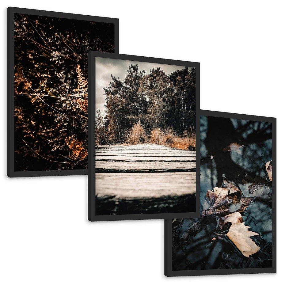 Zestaw obrazy w ramie, plakaty - natura, liście, drzewa - rama czarna