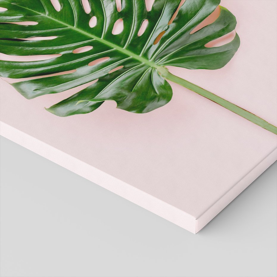 Obraz na płótnie - liść, monstera, roślina