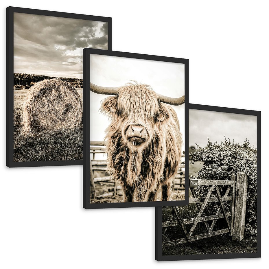 Zestaw obrazy w ramie, plakaty - wieś, zwierzęta, krajobraz - rama czarna