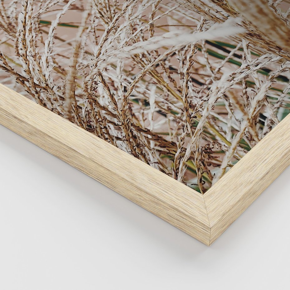 Zestaw obrazy w ramie, plakaty - roślina, beżowy, dekoracja - rama drewno